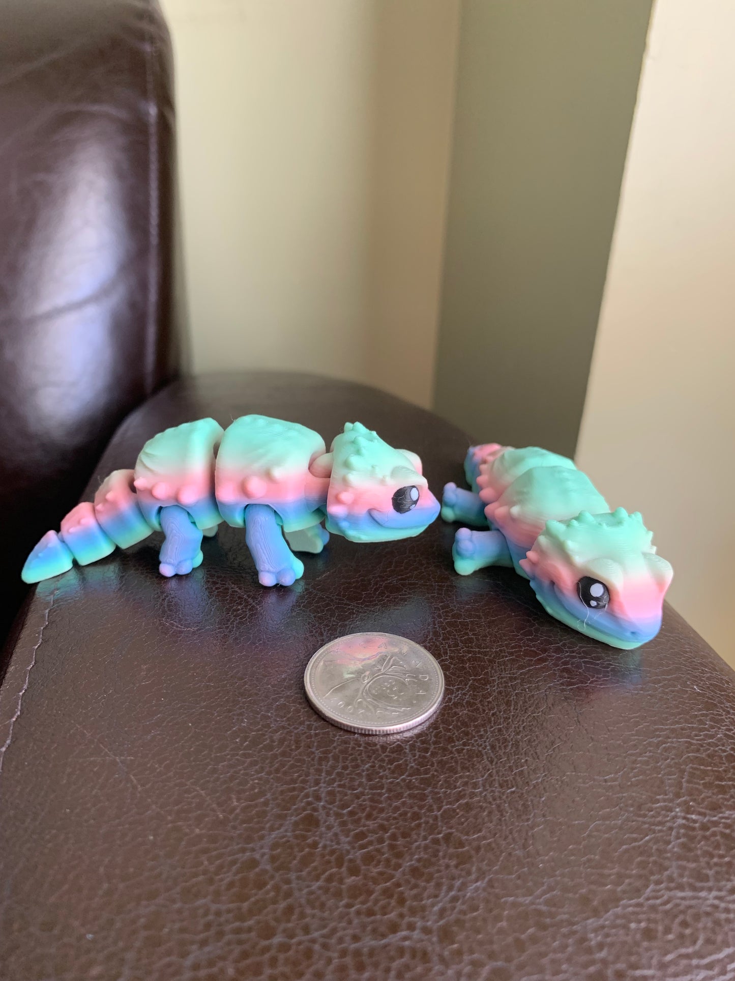 Bearded Dragon BABY Lizard